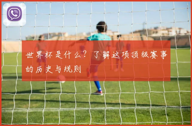 世界杯是什么？了解这项顶级赛事的历史与规则