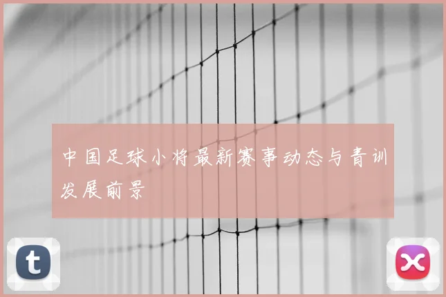 中国足球小将最新赛事动态与青训发展前景